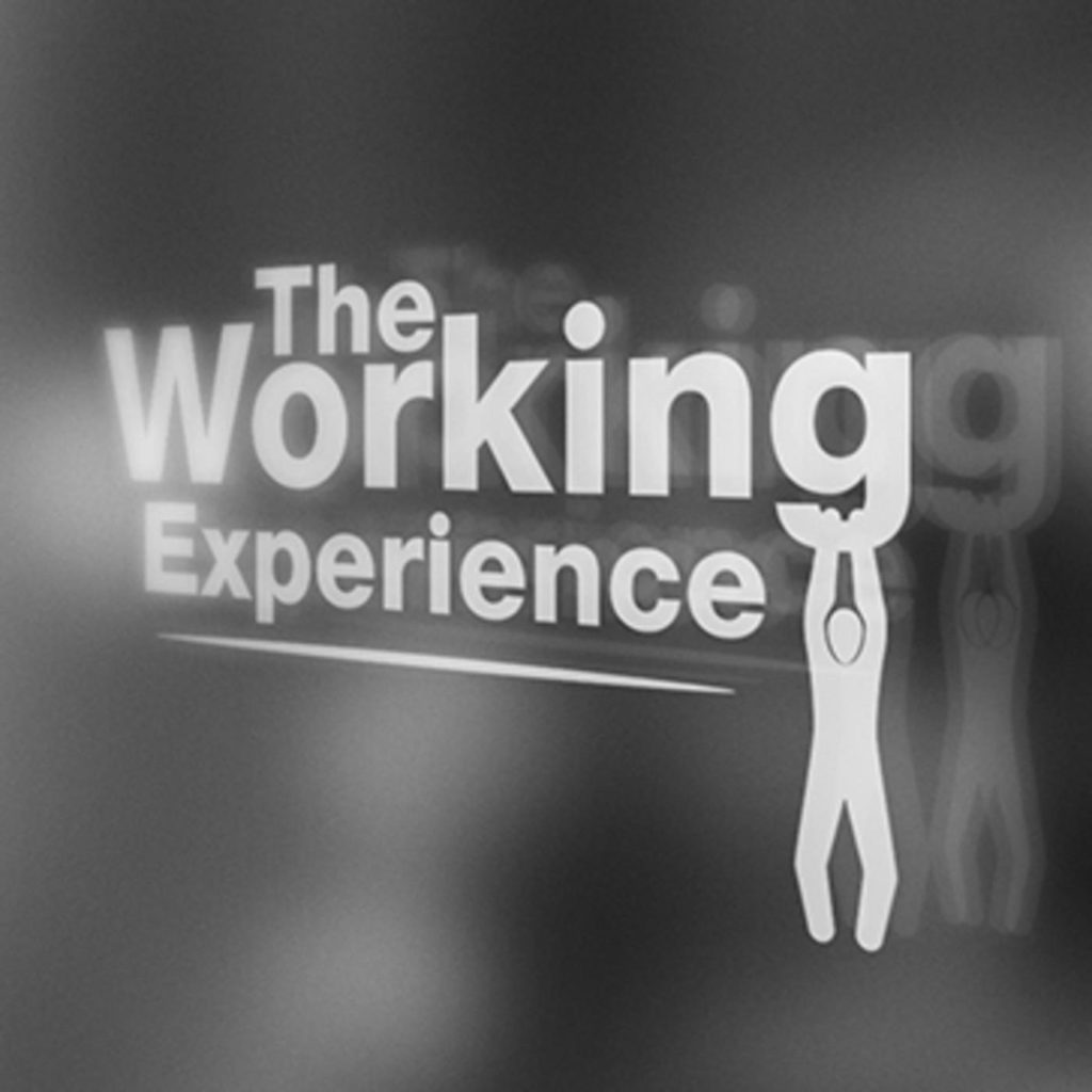 Working Experience Podcast
